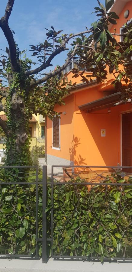 New Life Guest house *
